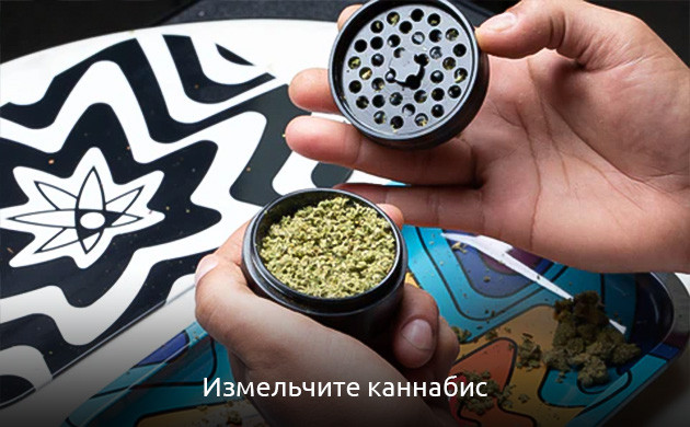 Измельчение конопли под блант Измельчение конопли под Свишер Блант