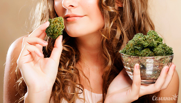 Сорта конопли, подходящие женщинам Сорт конопли для девушки