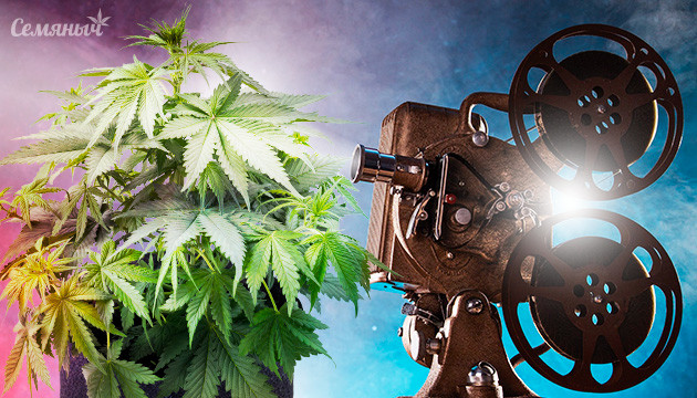 Документальные фильмы о каннабисе Документальные фильмы о марихуане