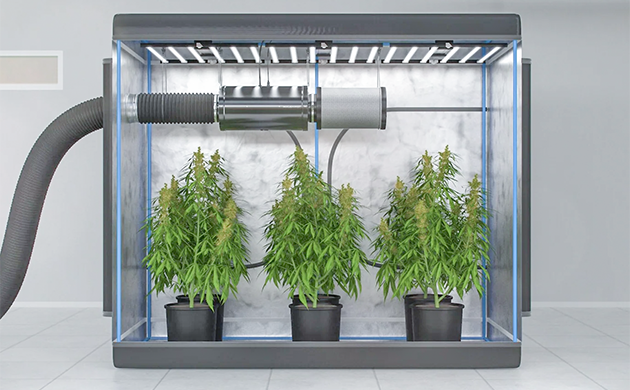 Как угольные фильтры помогают избавиться от характерного запаха конопли Роль угольных фильтров в улавливании спор, пыльцы и других частиц