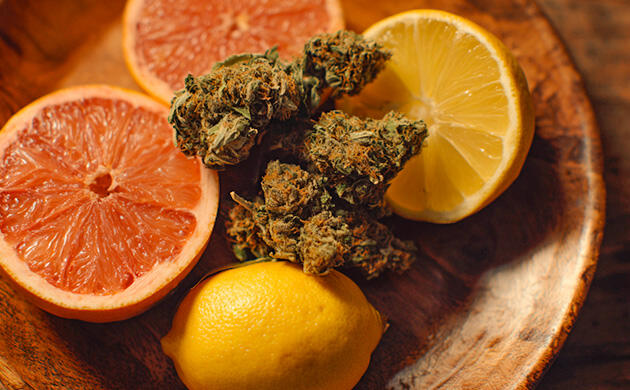 Цитрусовый терпен лимонен