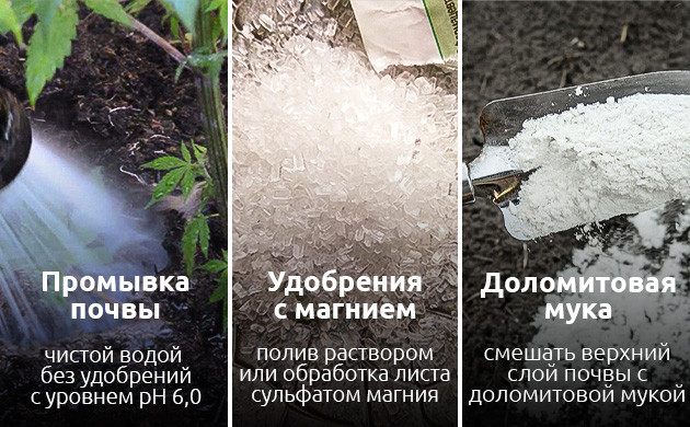 Как устранить дефицит магния у конопли Как устранить недостаток магния у каннабиса