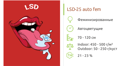 LSD-25 Auto