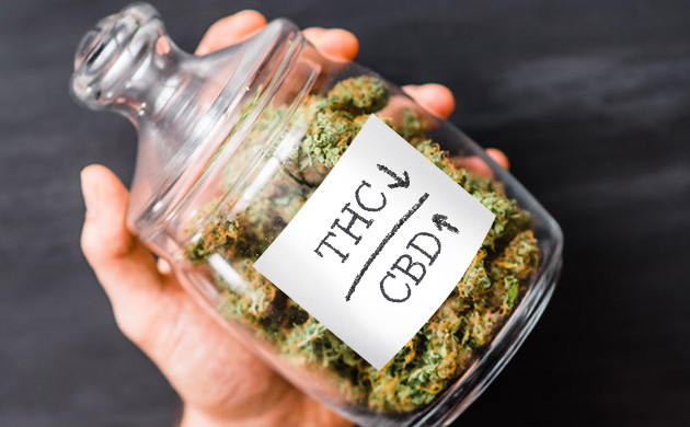 Сорта с низким уровнем ТГК Сорта с высоким уровнем КБД