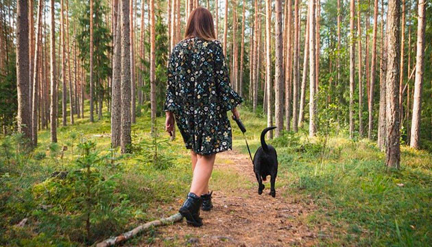 Причины для нарушения карантина Прогулка с собакой к рассаде конопли