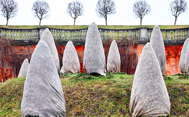 Использование агротекстиля во время заморозков Агротекстиль на конопле