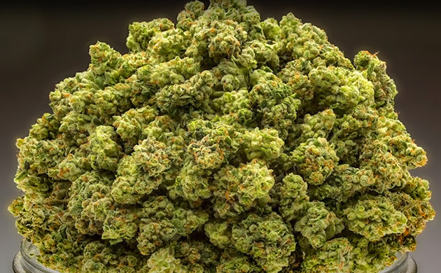 Cryo Cure и Velos Cold Cure Долговечность и качество бутонов