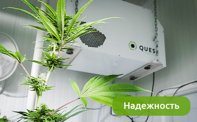 Контроль окружающей среды Надежность оборудования для выращивания каннабиса