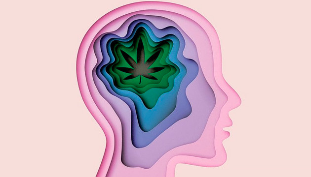 Как конопля влияет на мозг человека Влияние конопли на мозг