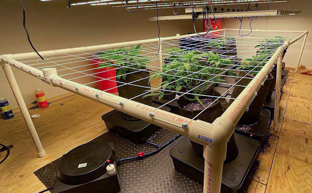 Корректировка высоты установки сетки Сетка ScrOG на ножках