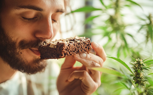 Веганские продукты в магазинах Как растительная диета улучшает самочувствие