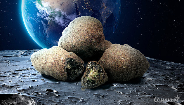 Что такое мунроки и из чего они сделаны? Канна-продукт Moonrock