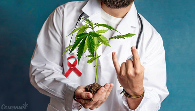 Марихуана и онкологические заболевания Медицинская конопля