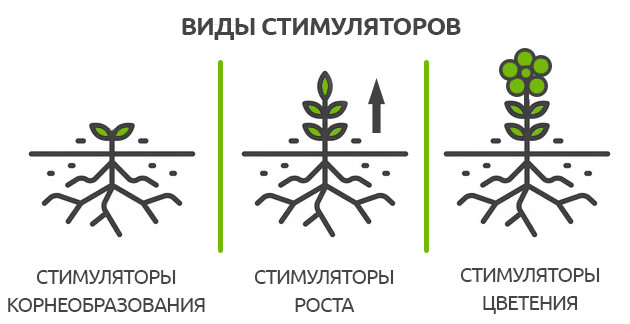 Стимуляторы для корнеобразования, роста и цветения