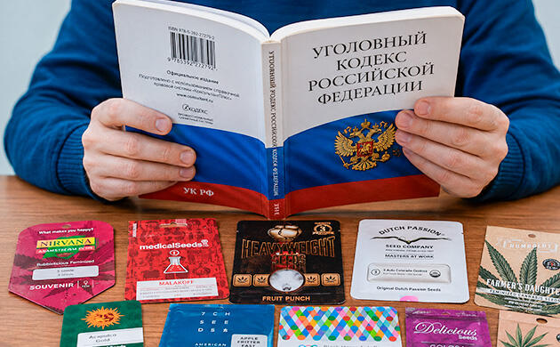 Как российское право трактует коллекционные семена
