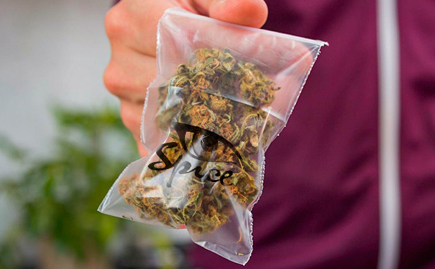 Что такое «синтетика» и «спайсы»? Скрытая опасность синтетических каннабиноидов