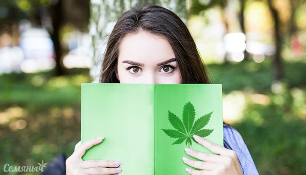 Интересные факты о каннабисе Факты о марихуане