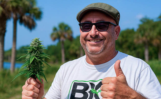 Происхождение сорта Bubba Kush История Bubba Kush