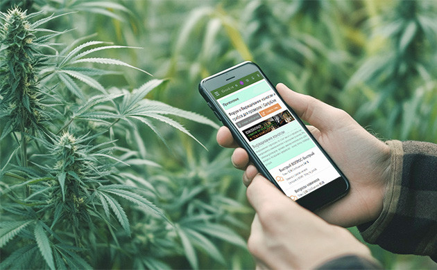 Ganjalive: темы и валюта