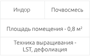 Выращивание сорта в аутдоре Условия выращивания