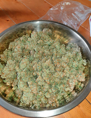 Готовы урожай Сухие шишки