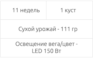Собранный урожай Срок выращивания и полученный урожай