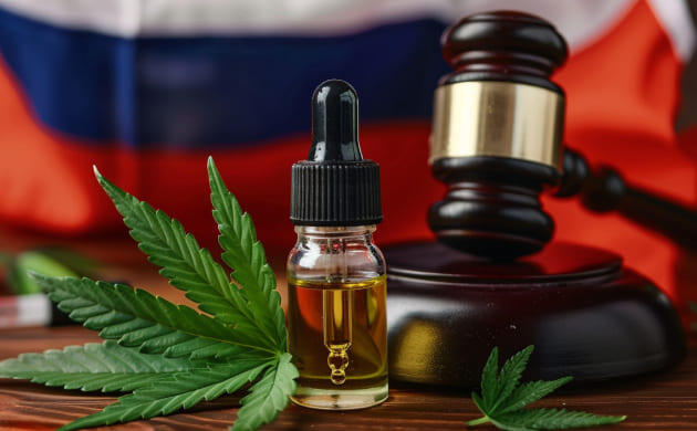 Правовое регулирование КБД и каннабиса в России