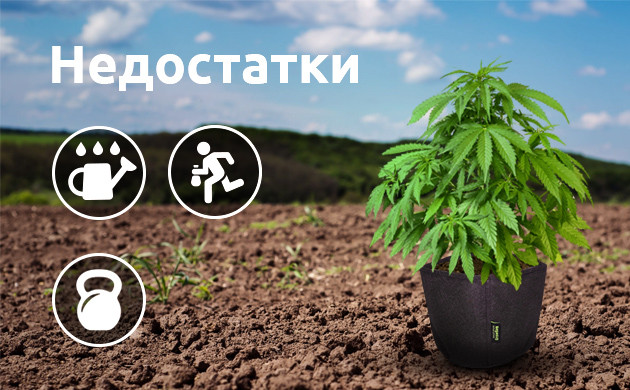 Недостатки выращивания в аутдоре в горшке Минусы выращивания в аутдоре в горшке