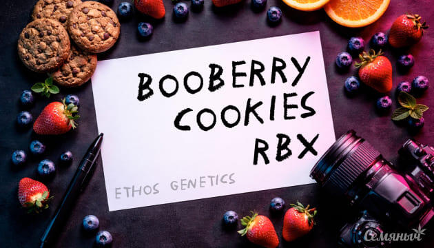 Гроурепорт сорта Booberry Cookies RBX от ETHOS Genetics