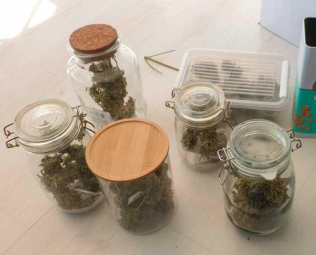 Впечатления от гровера Харвест Hellfire OG Auto