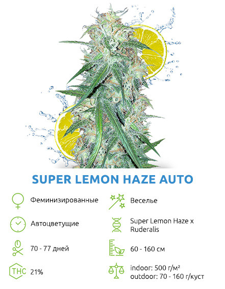 Бонус Super Lemon Haze Auto Super Lemon Haze Auto