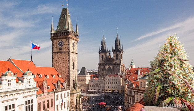 Легализация марихуаны в Чехии