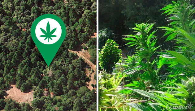 Выбор удобного места Выбор места