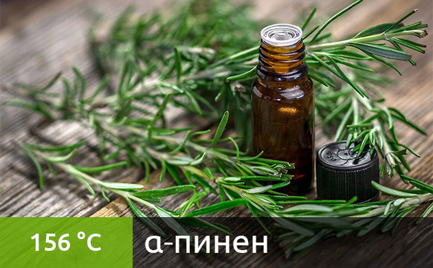 Рекомендуемая температура нагрева для α-пинена в вейпе (156 °C)