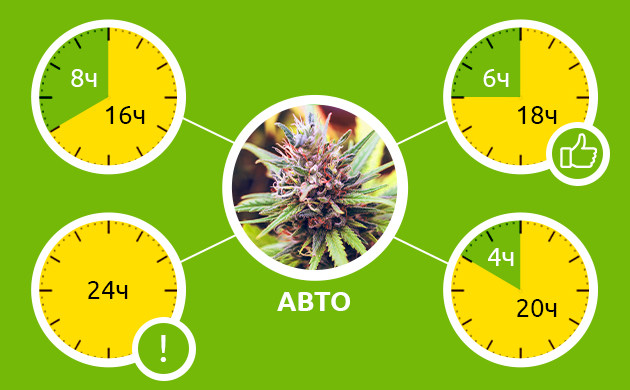 Популярные режимы освещения для автоцветов