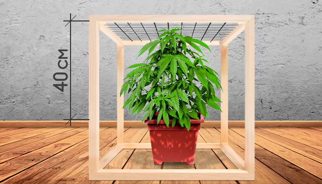 Правильная установка сетки Сетка на высоте 40 см над горшком