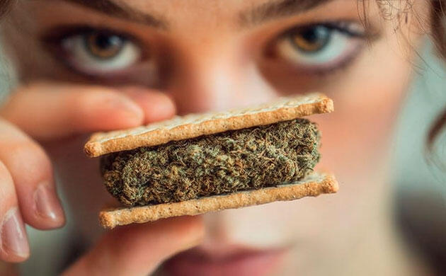 Потенциал каннабиса в терапии воспалительных заболеваний кишечника Как каннабис может помочь при воспалительных заболеваниях кишечника