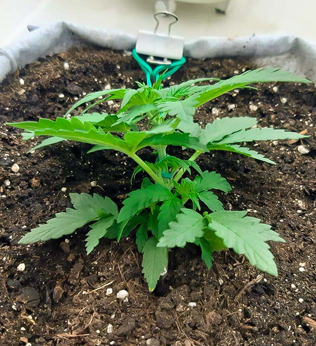 Изменение влажности и освещения