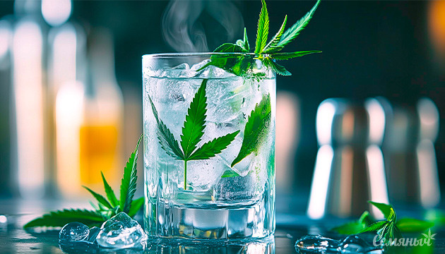 Канна-кухня: джин-тоник с каннабисом Джин-тоник с каннабисом