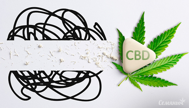 КБД эффективен в снижении тревожности CBD и тревожность: новое исследование