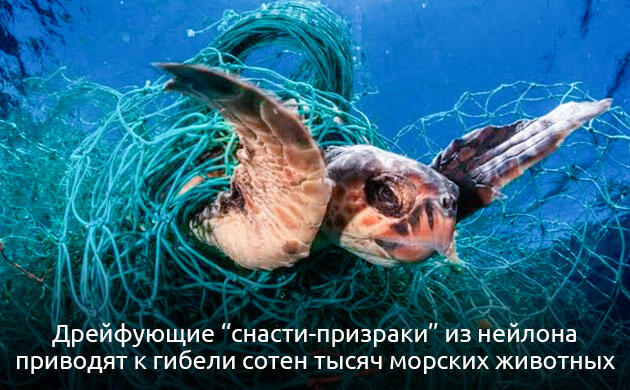 Проблемы нейлоновых сетей Как нейлоновые сети стали глобальной угрозой