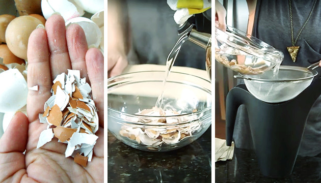 Рецепт смеси из яичной скорлупы Приготовление смеси из яичной скорлупы