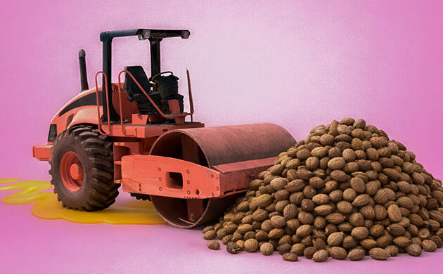 Технология получения масла из семян конопли Семена конопли и производство натурального масла