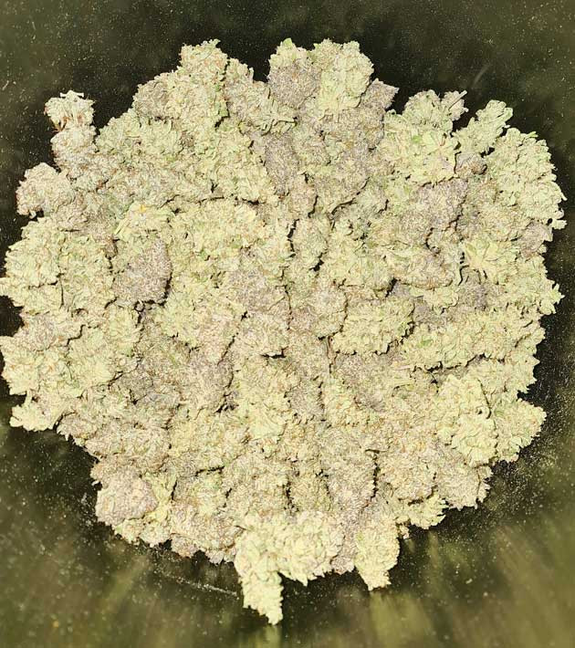 Итоги грова Banana Purple Punch Auto