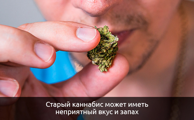 Изменение вкуса и аромата конопли при хранении