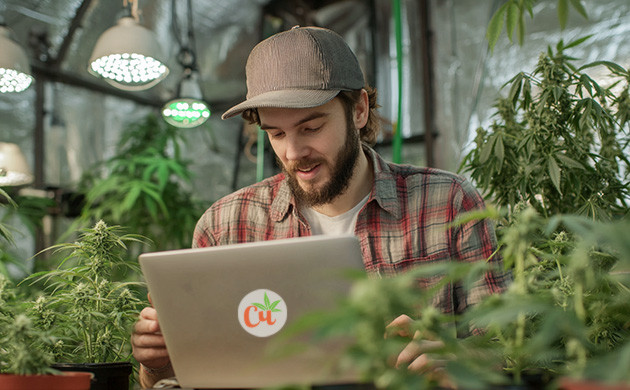 Обучение через общение с гроверами