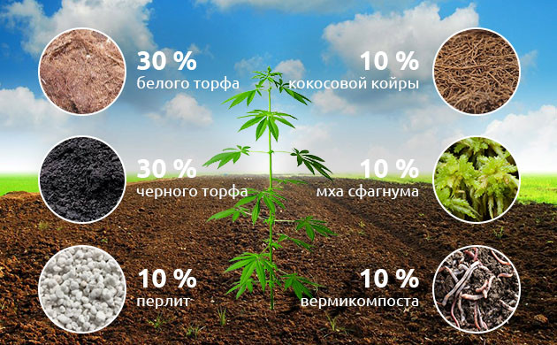 Выбор почвы