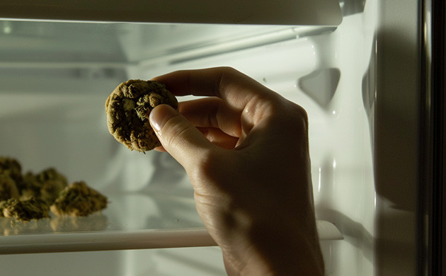 Охлаждение каннабиса: сохраняем свежесть и потенциал Температурный контроль: ключ к долгосрочному хранению канна-еды