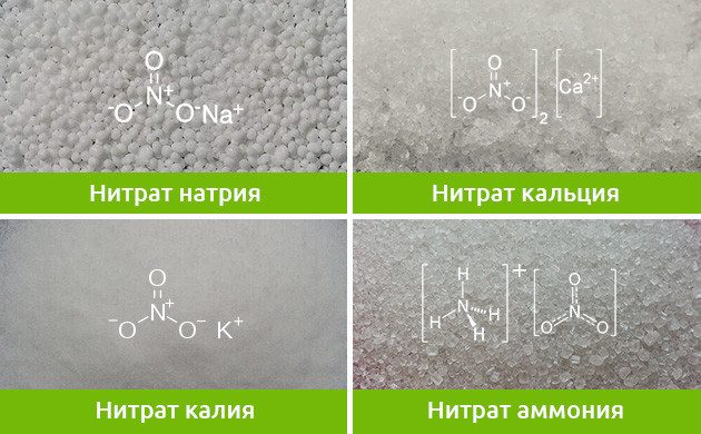 Формулы нитрата натрия, кальция, калия и аммония