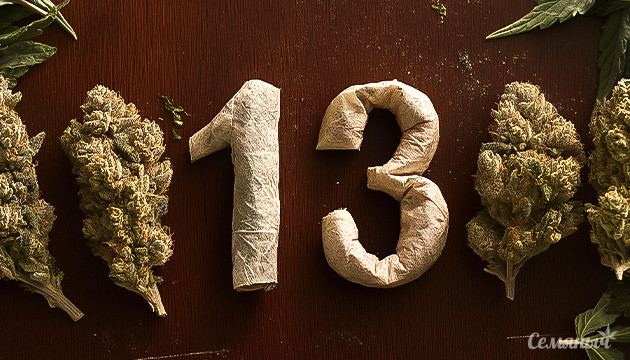 13 альтернатив для самокруток Как заменить бумагу для самокруток